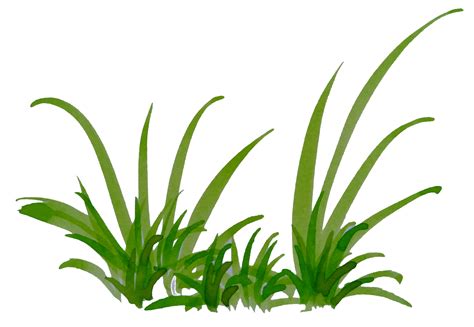 Watercolor Grass Hand Drawn Grass 23290757 Png
