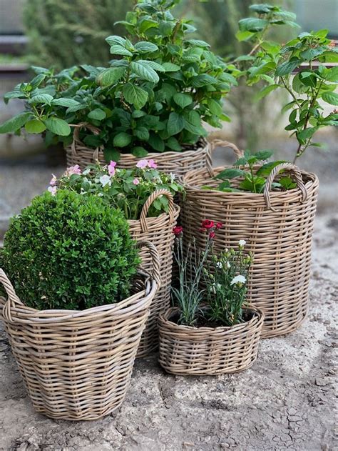 Цветы в кашпо из ротанга. Garden decor. | Potted plants outdoor ...
