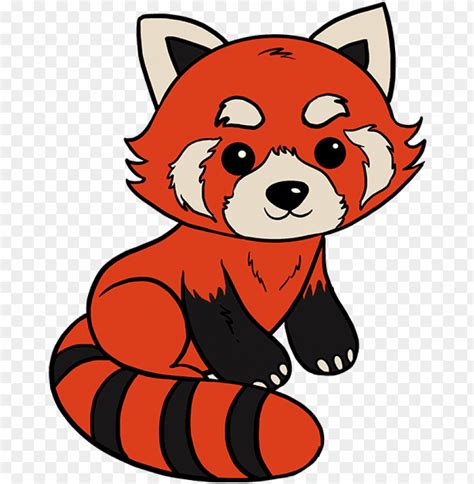 how to draw red panda - red panda drawing easy step by ste PNG image ...
