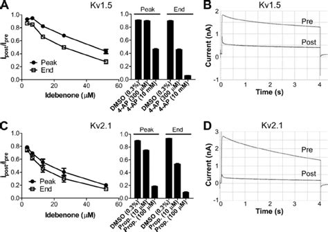 Idebenone Inhibits Voltage Gated Potassium Channels Representative