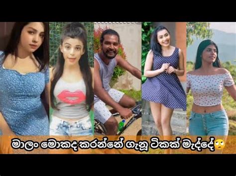 New Viral Tik Tok Collection Sl Tik Tok Sri Lanka Most