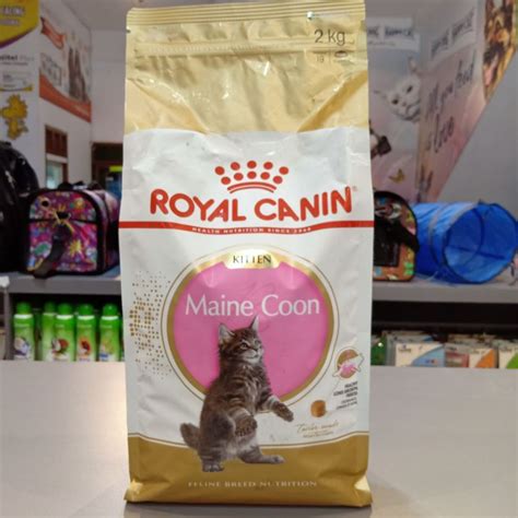 Jual Royal Canin Kitten Maine Coon Makanan Anak Kucing Mainecoon Kg