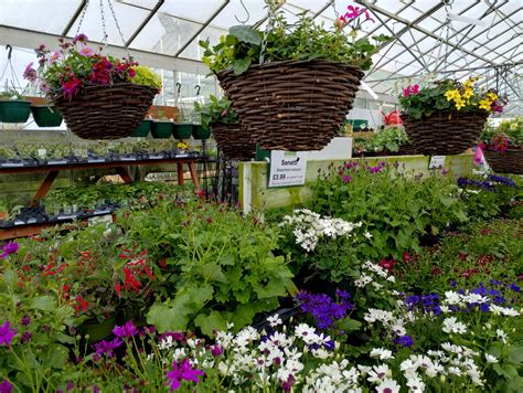 Gotherington Nurseries Cheltenham