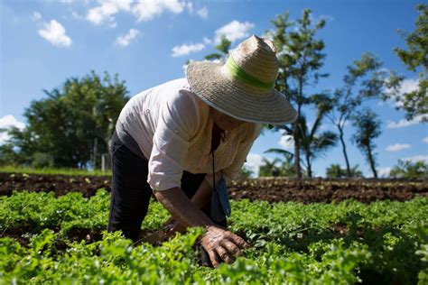 Qu Es La Agroecologia Principios Beneficios Y Mucho M S