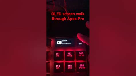 Apex Pro Tkl Oled Screen Walk Through Youtube