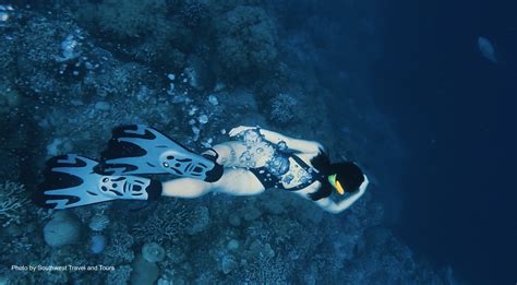 Bohol Pamilacan Island Tour With Snorkeling Gears Lunch