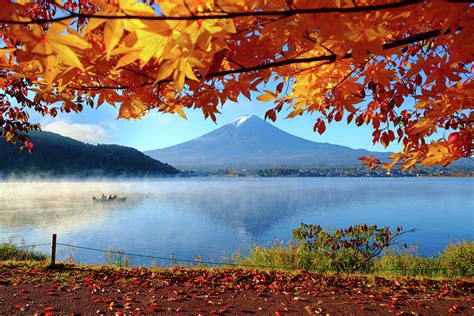 Autumn Kawaguchiko Lake And Mt Fuji By Dewpixs Photography