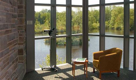 Cornell University Laboratory Of Ornithology