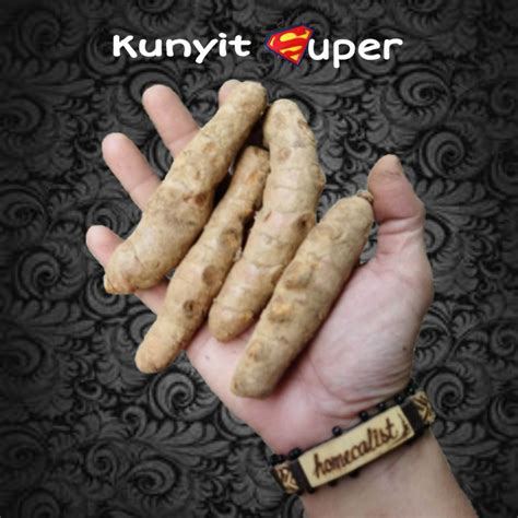 Jual Kunyit 1 Kg Kunyit Segar Kunir Shopee Indonesia