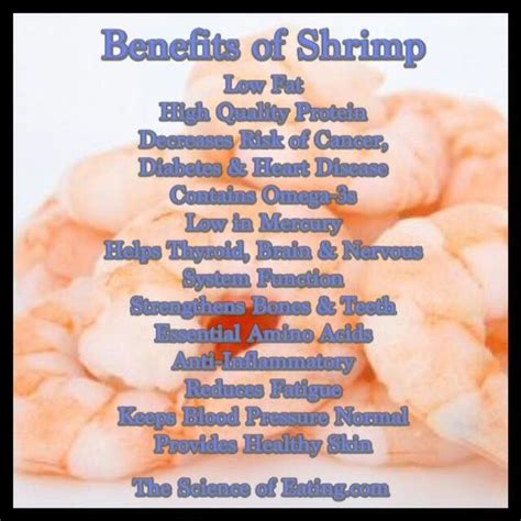 Shrimp And Prawn Benefits At Stephanie Buckner Blog