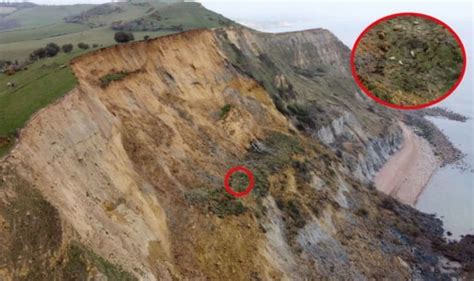 Sheep Stuck After Jurassic Coast Cliff Collapse In Biggest Rockfall In 60 Years Uk News