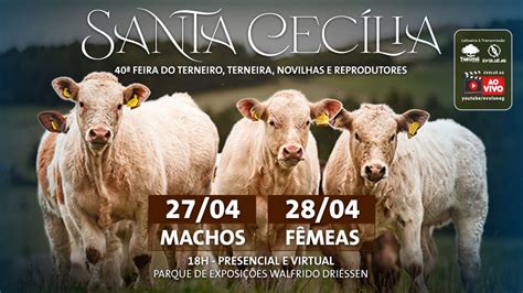 40ª Feira do Terneiro Terneira Santa Cecília SC 27 04 2023 I MACHOS