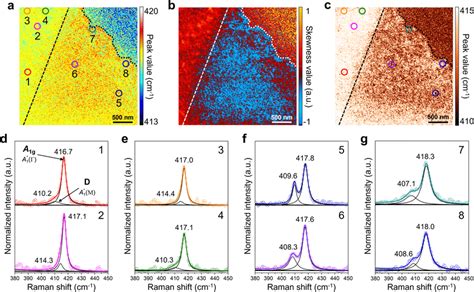 Ters Imaging Of Monolayer Ws A Peak Distribution Image For A G