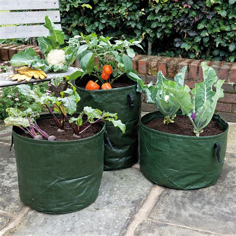 Vegetable Planters Pack Of 3 Gardman Natural Collection