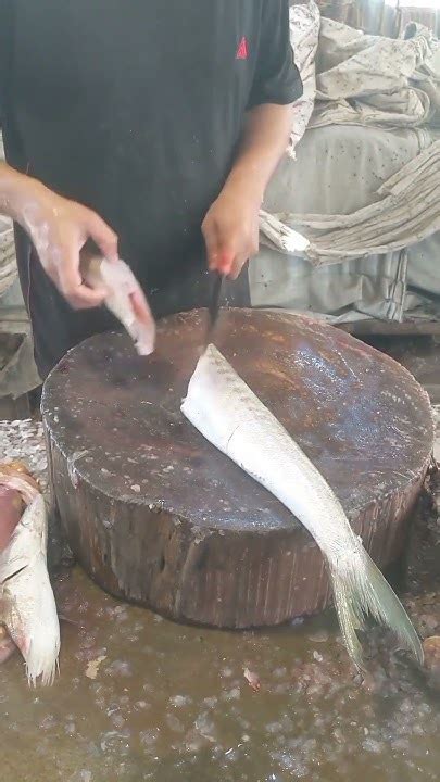 Kun Fish Cutting Like And Subscribe Youtube