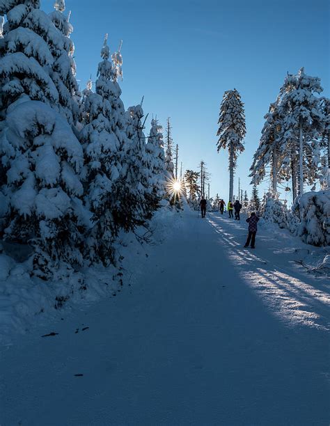 Snow Covered Hiking Trail With Frozen Trees Sun And Few Tourist