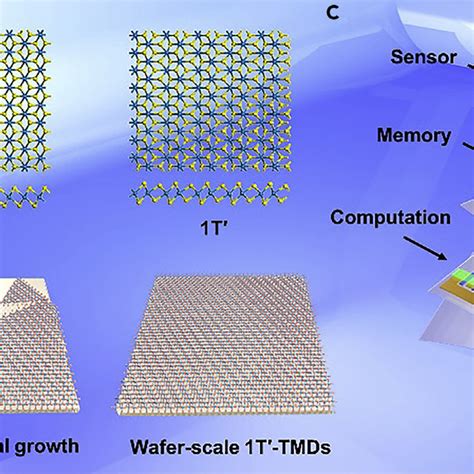 Epitaxial Growth Of Wafer Scale Single Crystal Tmd Monolayers On