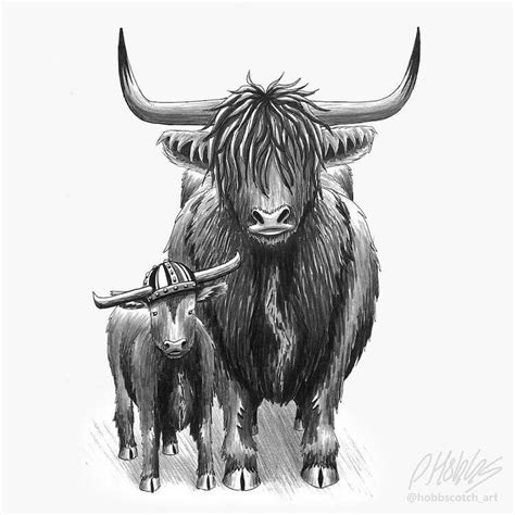 15 Highland Cow Drawing Easy Alteaalexios