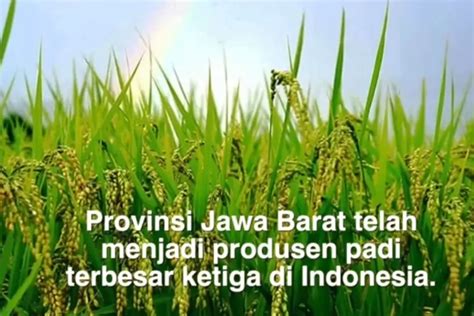 Luar Biasa Bisa Produksi Ton Inilah Kabupaten Dengan