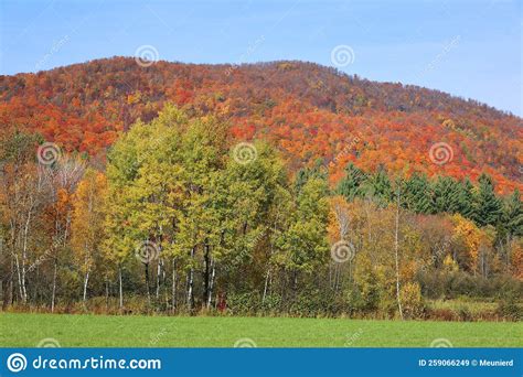 North America Fall Landscape Eastern Townships Bromont Stock Image