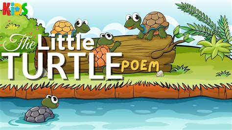 The Little Turtle Poem In English For Children Kids Poem In English