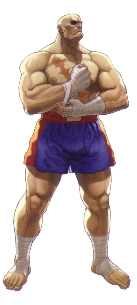 Todos Los Personajes De La Saga Street Fighter Sagat Street Fighter