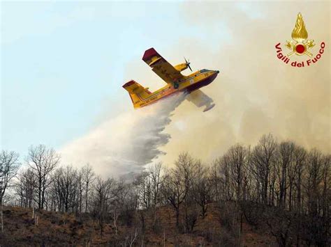 Incendi Boschivi In Italia 15 Anni Per Ricostruire I Boschi Distrutti