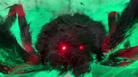 Spirit Halloween 2023 Black And Red Jumping Spider Youtube