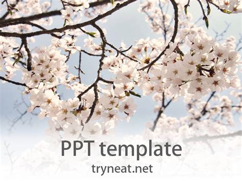 Free Powerpoint Template 29 Download Free Powerpoint Templates