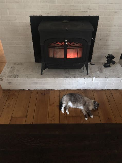 I Come Home To Find My Cat Completely Passed Out By The Nice Warm Fire