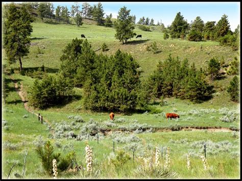 12 000 Acres In Winnett MT 59087 Land