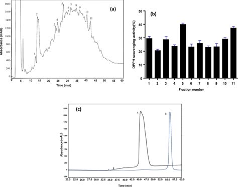 A Semi Preparative C18 Reverse Phase Hplc Chromatogram Of Wglh B Dpph Download Scientific