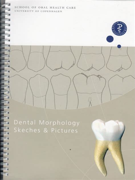 Dental Morphology 2010 Pdf