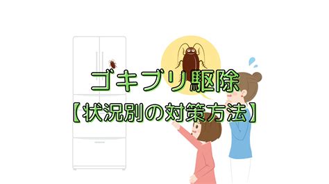 ゴキブリを確実に駆除する方法！苦手な人でもできる駆除剤の使い方を解説