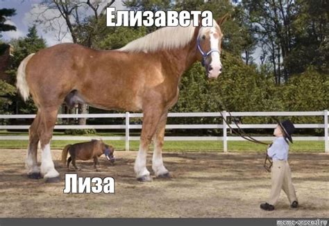 Мем: "Елизавета Лиза" - Все шаблоны - Meme-arsenal.com