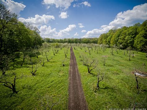 8 extraordinary facts about Leo Tolstoy's estate in Yasnaya Polyana (PHOTO) - Russia Beyond