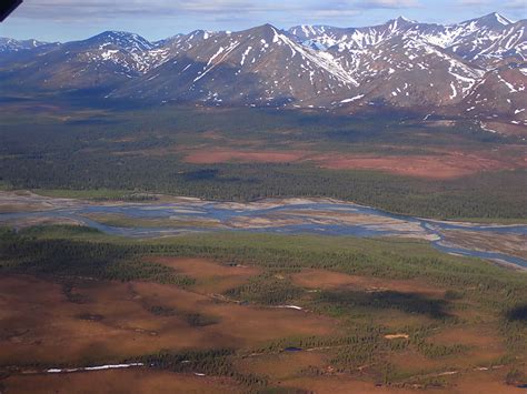 Old growth and new forests in the Noatak National Preserve (U.S ...