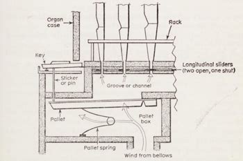 The History of the Pipe Organ