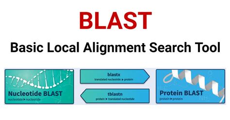 Blast In Bioinformatics Types Steps And Applications