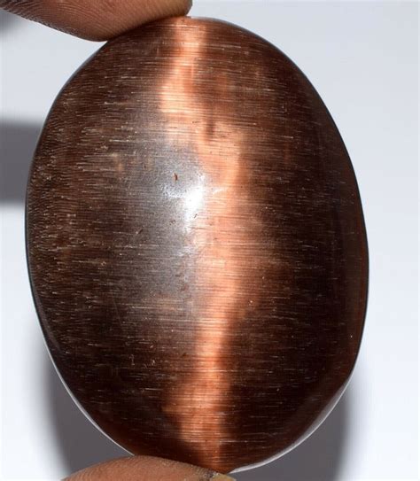 Natural Oval Brazilian Brown Cat S Eye Loose Gemstone Ct