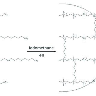 Formation Of Crosslinked Polyethylenimine Pei Nanoparticles Adapted