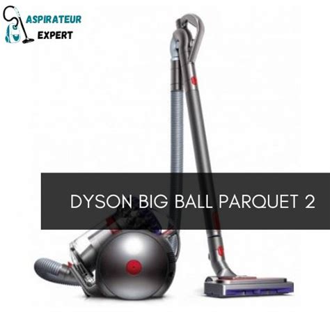 Dyson Big Ball Parquet 2 Test Et Avis De Cet Aspirateur Traineau Sans