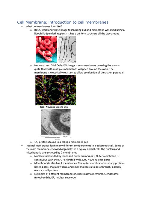 Biol Week Notes Cell Membrane Introduction To Cell Membranes