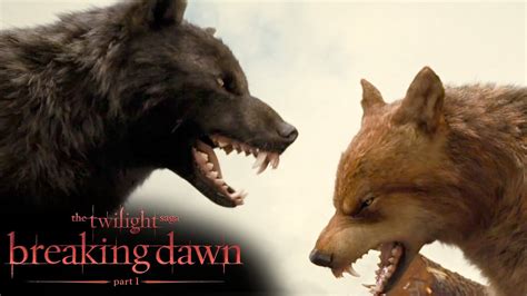 The Twilight Saga Breaking Dawn Part 2 Jacob Wolf