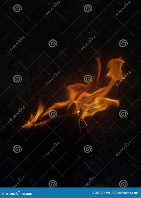 Naked Burning Fire Flame Stock Photo Image Of Painting 202174498