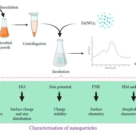 Pdf Biogenic Synthesis Of Zinc Nanoparticles Their Applications And