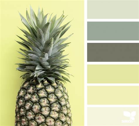 Pineapple Palette Design Seeds Design Seeds Color Palette Design