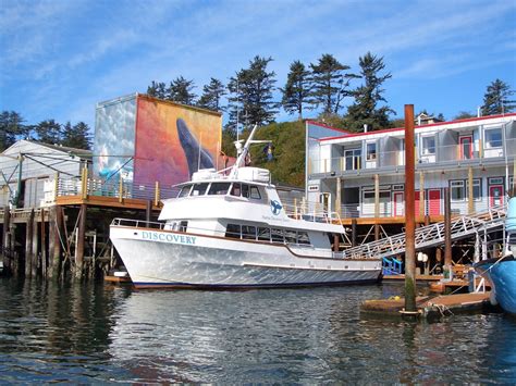 Marine Discovery Tours Oregon Coast Visitors Association