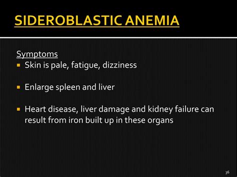 Sideroblastic Anemia Pathophysiology