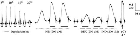 Effect Of Quinacrine Quin 20 ␮ M 200 ␮ M On The Difrs In Skinned